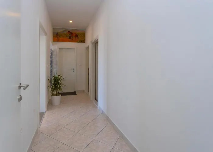 Koko 마카르스카